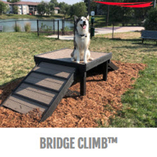 CAD Drawings BIM Models Gyms For Dogs™ Bridge Climb™